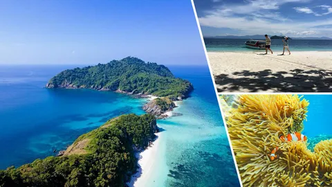 ไปบอกรัก...ปลานีโม ที่ "เกาะนาว โอ พี"