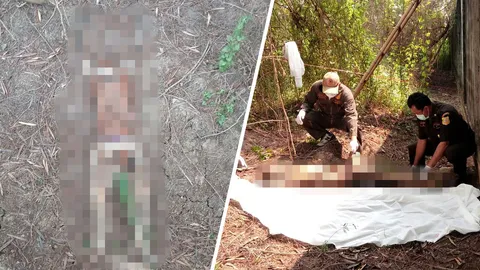 พบศพหนุ่มสักยันต์เสือเผ่น แห้งตายคาป่ากระถิน ที่นครปฐม