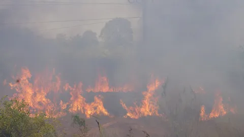 ชาวบ้านบุ่งคล้าเผาหญ้า คุมไม่อยู่ไฟไหม้หนัก ไหม้สายเคเบิลทำเน็ตล่ม