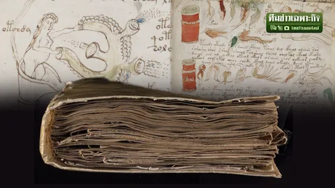 ไขความลับ 600 ปี! ‘วอยนิช’ หนังสือลึกลับที่สุดในโลก มนุษย์ได้อะไร หลังถอดรหัสปริศนาสำเร็จ