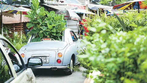 จับตาเทรนด์ธรรมชาติปี 2018 ต้นไม้ก็ต้องมา!