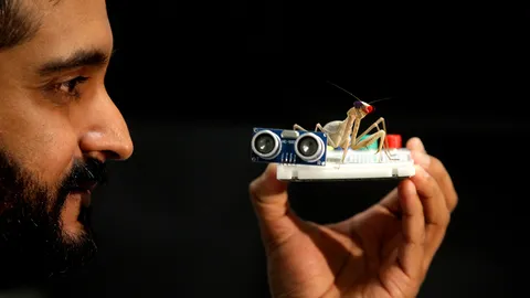 สวมแว่นจิ๋ว 3 มิติ