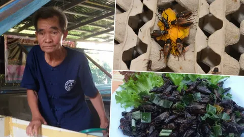 เปลี่ยนภาระเป็นพลัง! ลุงแอร์ ผุด 'ฟาร์มจิ้งหรีดยิ้มสู้' สร้างรายได้งาม