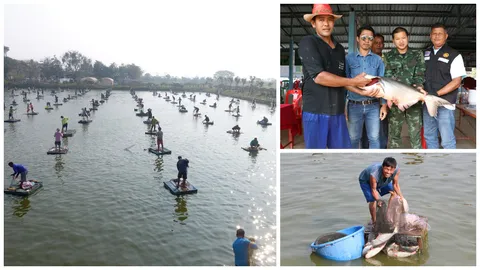 เปิดสระใหญ่! พรานปลา200คนเฮโลทอดแห สุดคุ้มจ่าย300 ได้บึก10กก.