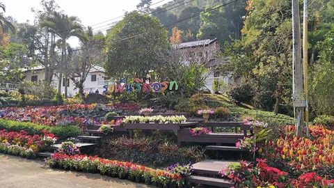 อลังการ 