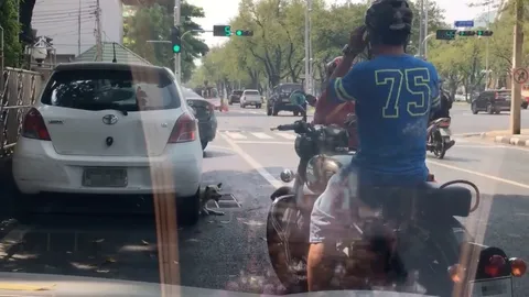 แม่ไปไหนหนูไปด้วย! ตูบแสนรู้หัวใส เจ้าของติดไฟแดงนานแอบลงจากรถไปหลบแดด