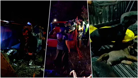 กระบะชนประสานงาดับ 1 หนุ่มโรงพิมพ์สาหัส ลูกหมารอดอยู่ท้ายรถ