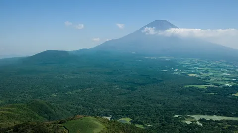 นรกบนดิน! เตือนคนไทยอย่าเชื่อนายหน้าเถื่อน หาเหยื่อไปทำงานญี่ปุ่น