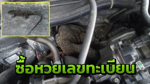 ตัวเงินตัวทองมุดห้องเครื่องซีอาร์วี เจ้าของกว้านซื้อเลขเด็ด ทะเบียนรถ