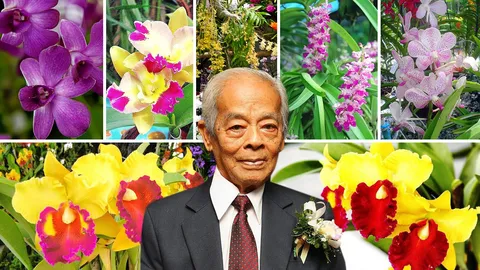 ศ.ระพี สาคริก คิดเหนือเปลือกมนุษย์