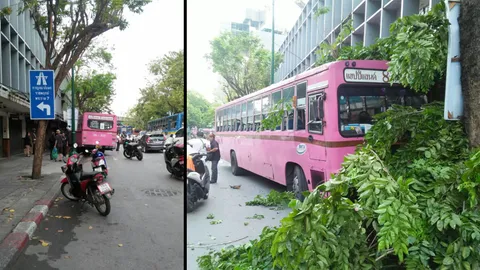 ไม่ถึงแฮปปี้แลนด์! ‘รถเมล์สาย 8’ พุ่งชนต้นไม้ โชคดีผู้โดยสารไร้เจ็บ