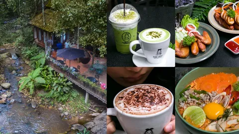 วันหนึ่งฉันเดินเข้าป่า ฉันเจอร้านกาแฟชิลๆ Teddu Coffee เชียงใหม่