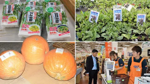 102 ปี..สหกรณ์ไทย เหตุไฉนก้าวไปไม่ถึงไหน