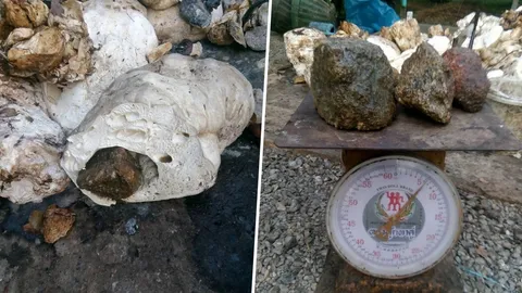 โกงกันขนาดนี้! สาวรับซื้อขี้ยางสุดเซ็ง ผ่าเจอก้อนหินยัดไส้เพิ่มน้ำหนัก (คลิป)