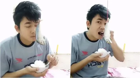 เลขคลาดเคลื่อนไปจงอภัยให้กัน! ชาวเน็ตสุดฮาโชว์อาหาร หลังถูกหวยกิน (คลิป)