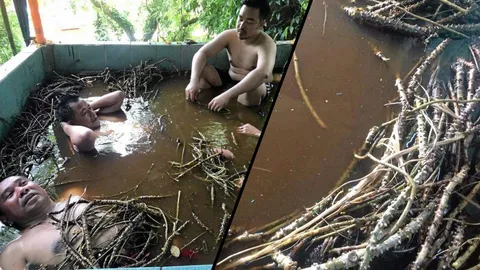 “แช่ว่านยา” วัดเขาอ้อ ตักศิลาทางไสยเวท