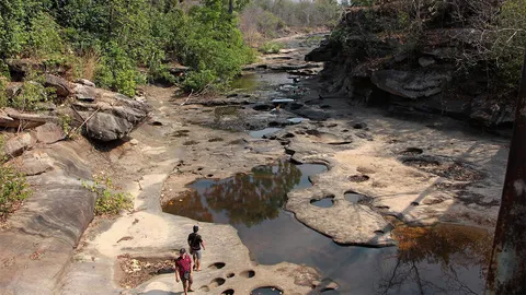 ภัยแล้งกระหน่ำ