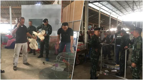 จับคาสนามไก่ชน 35 ผีพนัน ไม่รอด ตร.ลานสกา สนธิกำลังปิดล้อม