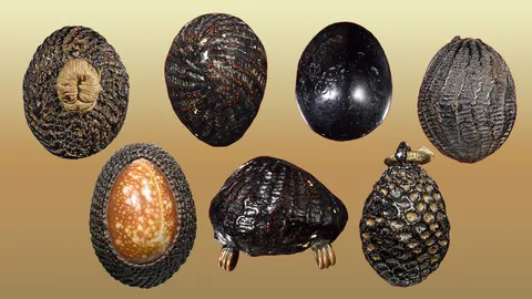 3 เบี้ยแก้ สำนักดัง สืบสานตำนานขลังอมตะ