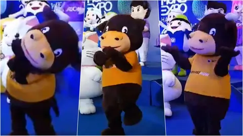 จ้างมากี่บาท! แห่แชร์คลิป 'กระทิงเต้นคุกกี้' งานนี้เพื่อนดูเหงาไปเลย