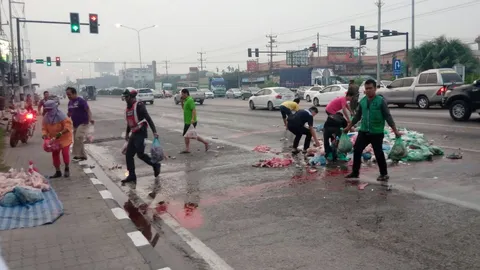 เลือดนองเต็มพื้น กระบะขนเนื้อหมู เบรกแตกชนยับ 6 คันคาแยกสามพราน