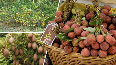 พาณิชย์ พาผลไม้ไทยขึ้นทะเบียนสินค้าจีไออีก 3 รายการ