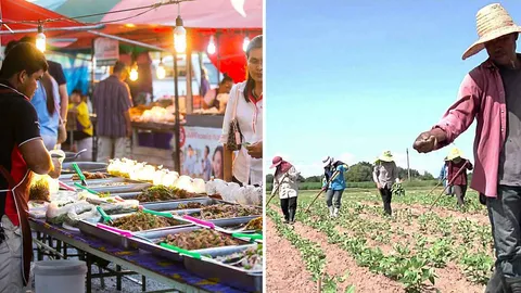 เสียงรากหญ้าวัดฝีมือรัฐบาล