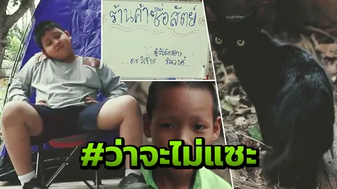 กฎก็คือกฎ! แชร์สนั่นหนังสั้น 'เปรมยิงแมว' ขยี้ใจชาวเน็ตสะท้อนสังคมไทย