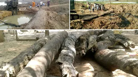 ขุดพบตะเคียนเก่าแก่9ท่อน ในคลองโคราช แห่กราบไหว้เชื่อสิ่งศักดิ์สิทธิ์ (คลิป)