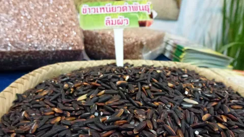 ก.พาณิชย์แนะผู้ส่งออกไทย ดันส่งข้าวเหนียว เจาะตลาดเมืองจีน