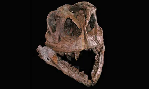 โลกาภิวัตน์ 02/11/53