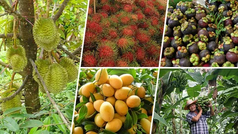 เกษตร 4.0 มั่งคั่ง ยั่งยืน