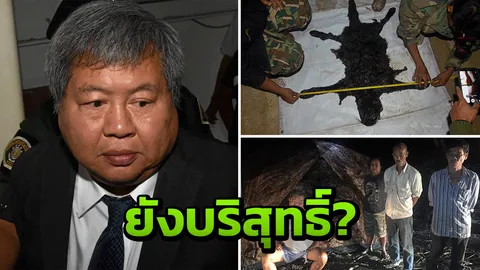 บอร์ดอิตาเลียนไทยอุ้ม ‘เปรมชัย' คดีเสือดำ ยันยังบริสุทธิ์ตามกฎหมาย