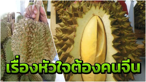 อัยยะ!! คนจีนหัวใส จด 'หมอนทอง' เป็นเครื่องหมายการค้าสินค้า