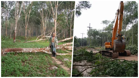 พายุถล่มเขาพนมกลางดึก ชาวบ้านน้ำตาตก สวนยางราบเป็นหน้ากลอง 