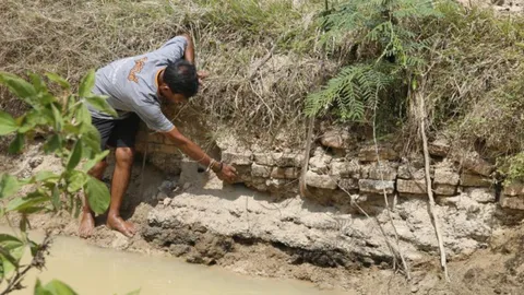 พบซากคล้ายฐานพระพุทธรูป กลางทุ่งนาเมืองตรัง คาดอายุกว่า 300 ปี