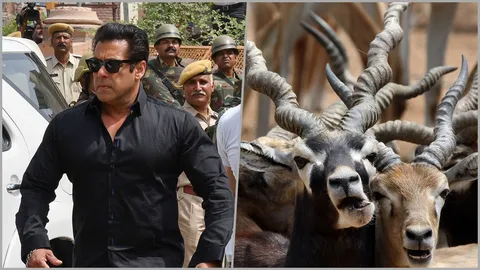 ศาลสั่งจำคุก 5 ปี ดาราใหญ่บอลลีวูด ล่ากวางแอนทีโลป เมื่อ 20 ปีก่อน