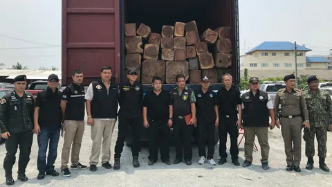ชุดพยัคฆ์ไพร-ปทส.จับตู้คอนเทนเนอร์ขนไม้ชิงชันส่งนอกมูลค่า 15 ล้าน