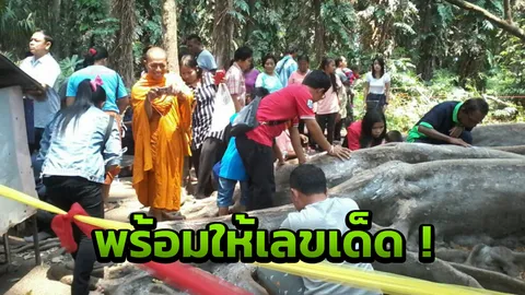 เรียนเชิญคอหวย! คำชะโนดเปิดให้บริการ-ออกกฎกำชับ 'ห้ามโยนเหรียญลงบ่อ'