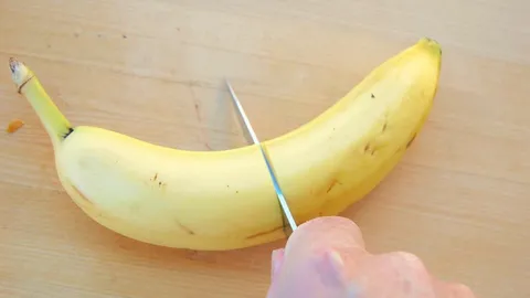 เกือบเสียความเป็นชาย! โต๊ะมูเด็งเข้าสุหนัตพลาด 'ขริบ' อวัยวะเพศเด็กขาด