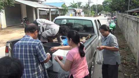 ฝนตกพาอึ่งเล่นน้ำ ชาวบ้านลำปาง-พะเยา จับขายสร้างรายได้ดี (คลิป)