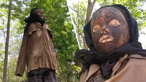 กลางวันยังตกใจ ผีสาวเฝ้าสวน โจรเตลิดไม่กล้าขโมยมะพร้าว (คลิป)