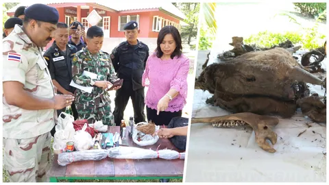 กรรม! ยิงกระทิงตาย2ตัว พรานโหด อยู่ๆ กระเพาะทะลุดับอนาถ