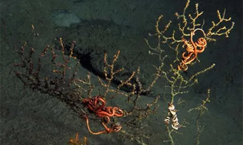 โลกาภิวัตน์ 09/11/53