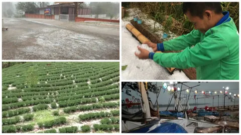 เชียงรายอ่วม! พายุลูกเห็บถล่มยับ ส่งท้ายสงกรานต์ (คลิป)  