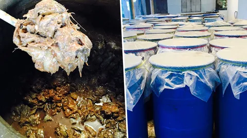 ‘ปลาร้าไทย’ โกอินเตอร์ ‘เกษตร’ คุมสู่มาตรฐาน