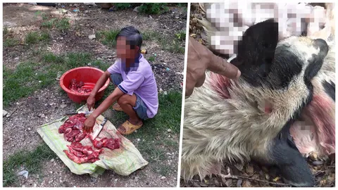 ไม่รู้กฎหมาย! ชาวบ้านปิ้งเนื้อสุนัขแกล้มสุรา รับมีคนฆ่าจริง (คลิป)