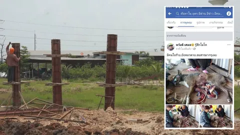 รุมแช่ง คนใจร้ายยิง 'เจ้าอาน' หมาไทยตายอนาถ ตร.เร่งหามือฆ่า