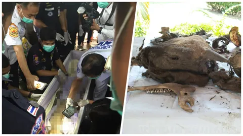 โอละพ่อ! ญาติไม่เผาศพพรานล่ากระทิง หลังพบถูกทำร้ายม้ามแตก 
