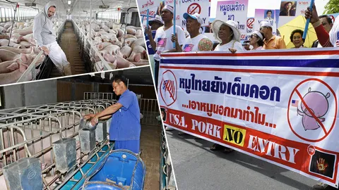 อย่าได้วางใจ..หมูสหรัฐฯ คำร้องขออาบสารพิษ